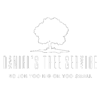 Daniel’s Tree Service
